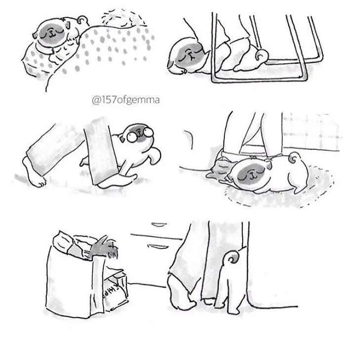 95 Adorable Comics That Hilariously Sum Up What It's Like Living With A Dog