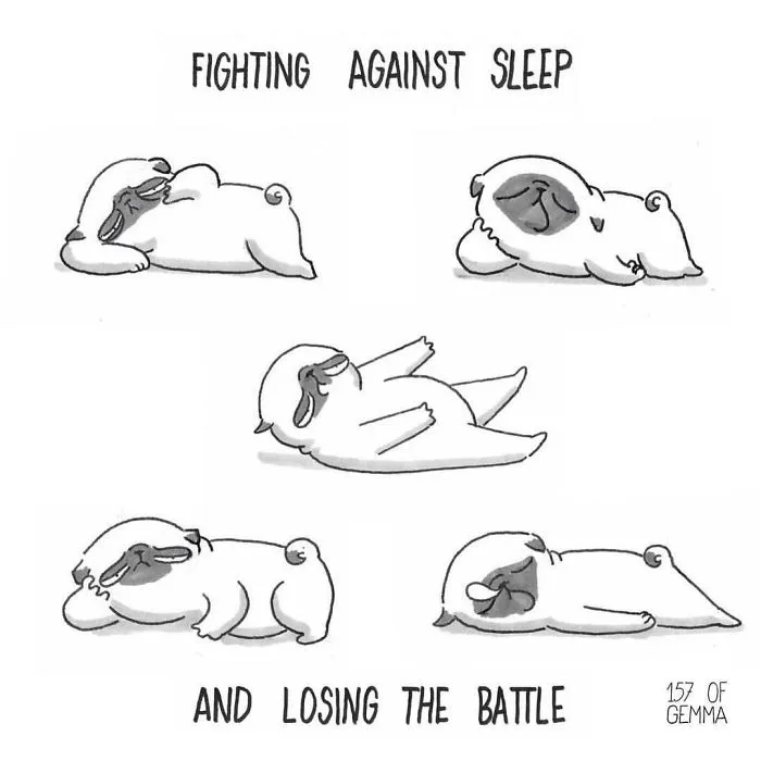 95 Adorable Comics That Hilariously Sum Up What It's Like Living With A Dog