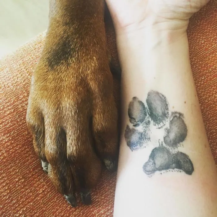 Dog paw tattoo on arm next to a real paw, showcasing a unique dog paw print design.