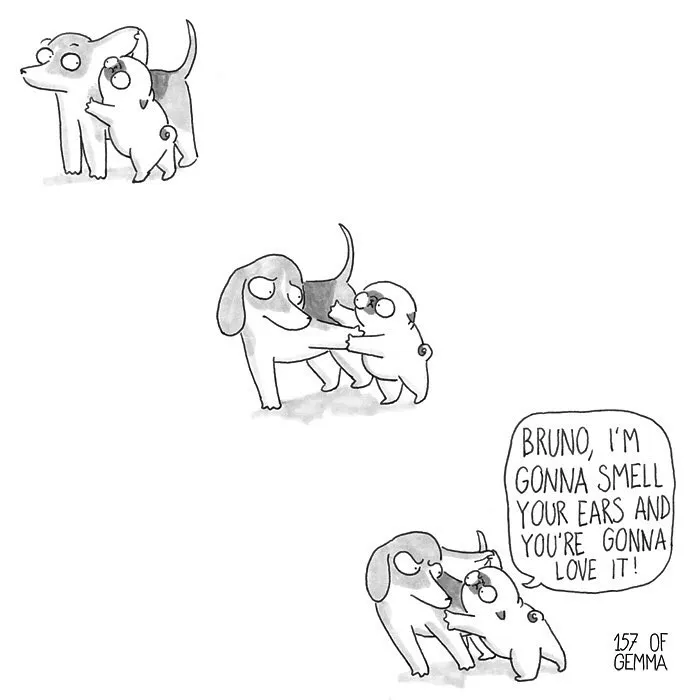 95 Adorable Comics That Hilariously Sum Up What It's Like Living With A Dog