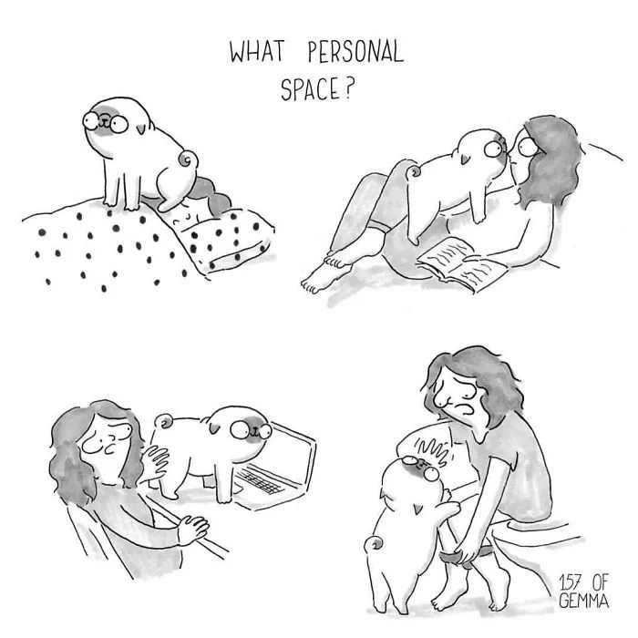 95 Adorable Comics That Hilariously Sum Up What It's Like Living With A Dog