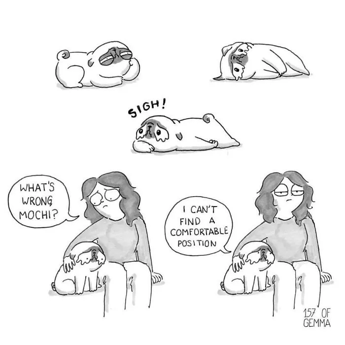 95 Adorable Comics That Hilariously Sum Up What It's Like Living With A Dog