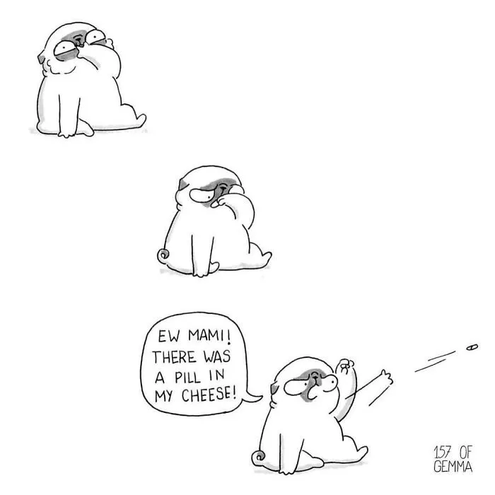 95 Adorable Comics That Hilariously Sum Up What It's Like Living With A Dog