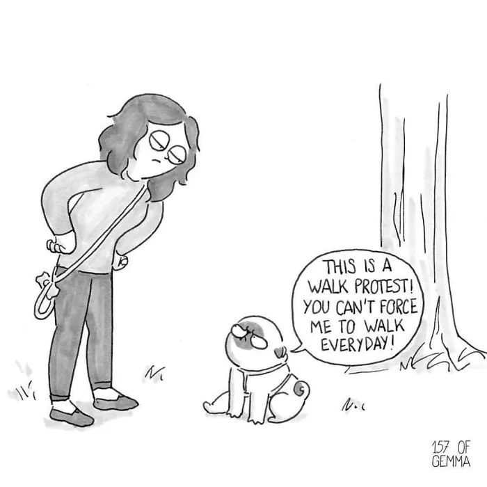 95 Adorable Comics That Hilariously Sum Up What It's Like Living With A Dog