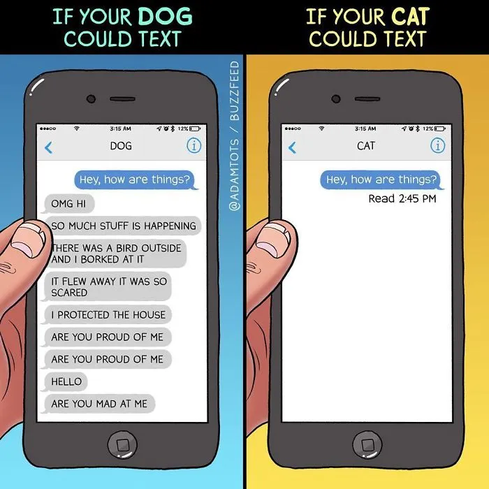66 Hilarious Differences Between Cats And Dogs