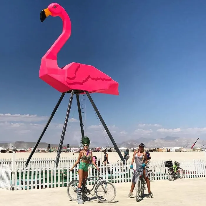 208 Epic Photos From Burning Man 2017 That Prove It's The Craziest Festival In The World