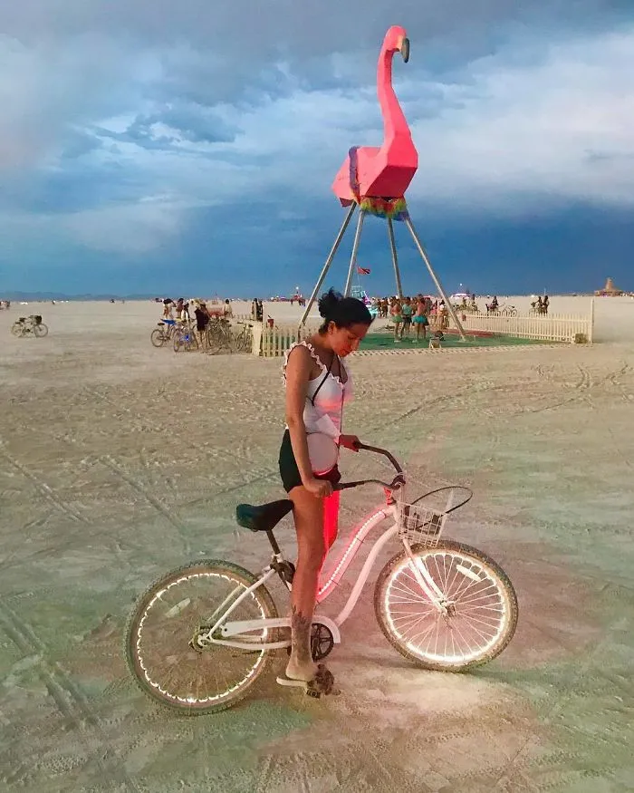 208 Epic Photos From Burning Man 2017 That Prove It's The Craziest Festival In The World