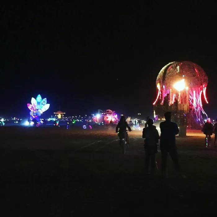 208 Epic Photos From Burning Man 2017 That Prove It's The Craziest Festival In The World