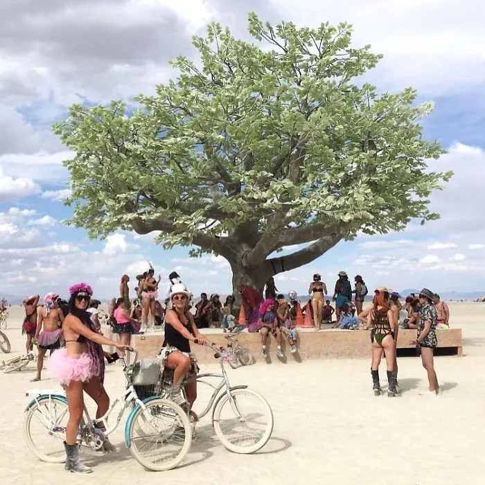 208 Epic Photos From Burning Man 2017 That Prove It's The Craziest Festival In The World