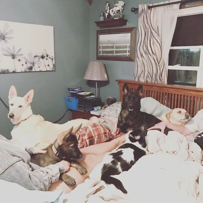 Necesitamos una cama más grande