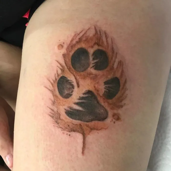 Dog paw print tattoo with vibrant colors and detailed design on skin.