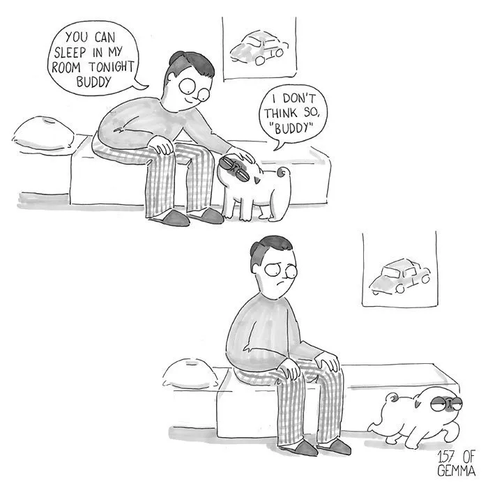 95 Adorable Comics That Hilariously Sum Up What It's Like Living With A Dog