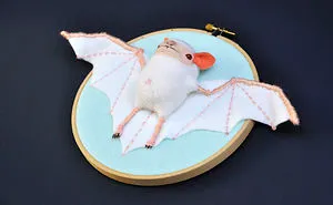 I Made These Faux Bat Taxidermies By Needle Felting And Hand Embroidery