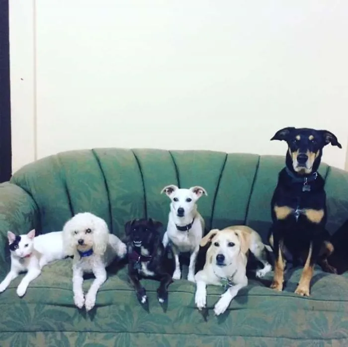 Waiting For Treats !