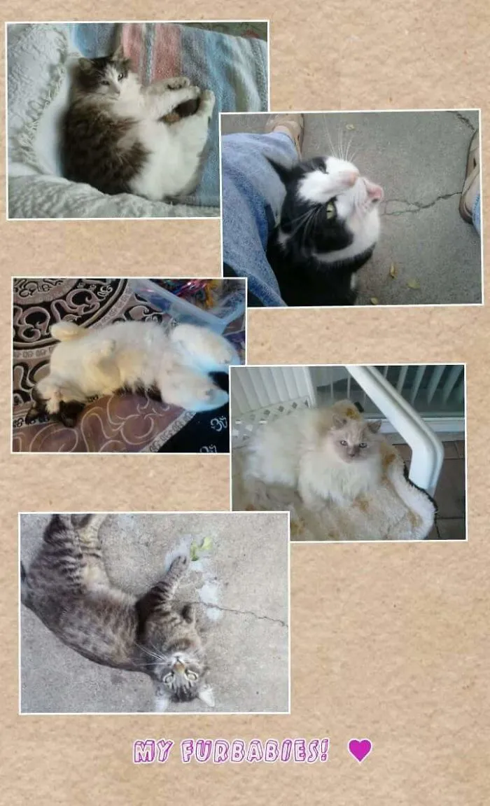 My Babies!