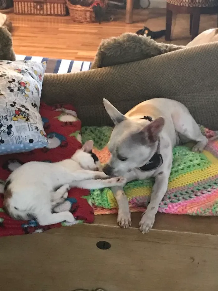 Let Me Tell You A Secret