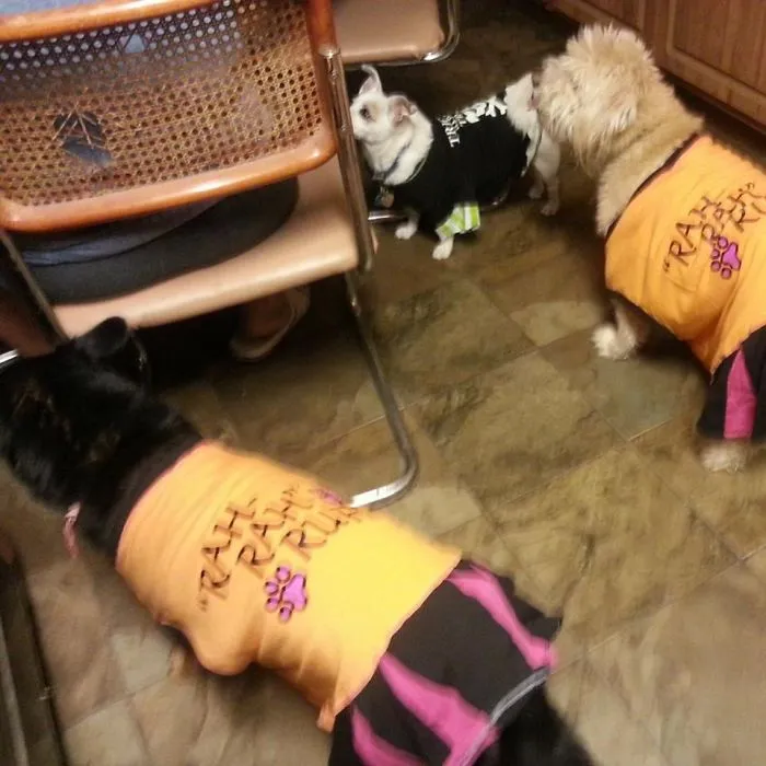 My Three Babies...all Gone Now (rip).