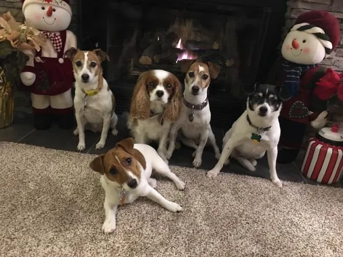 Happy Pack!