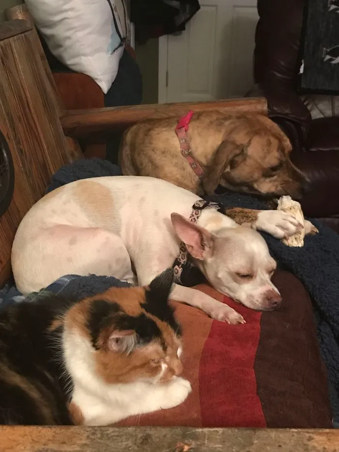All Lined Up