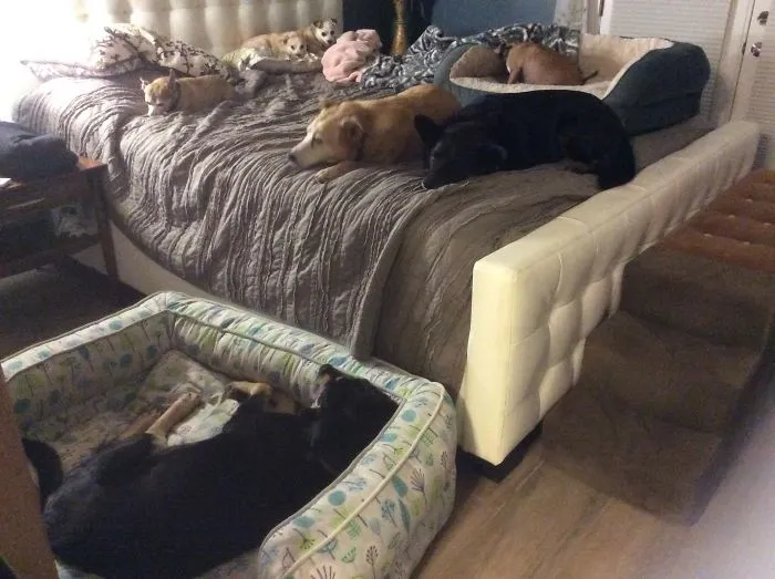 See If You Can Spot All 7!
