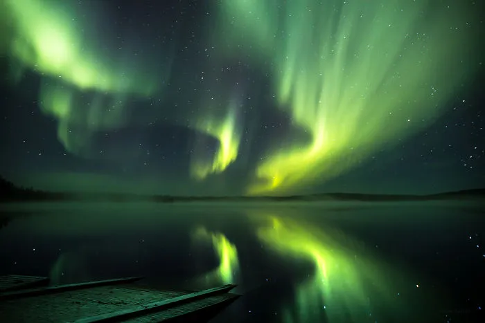 Misty Autumn Night