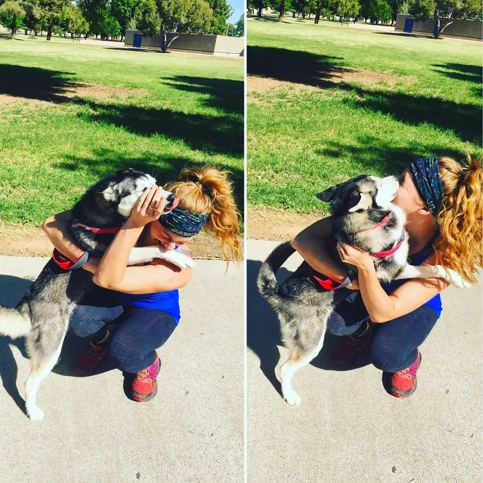 Love At First Lick!