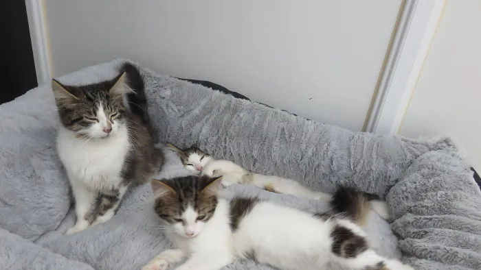 Two And A Bit