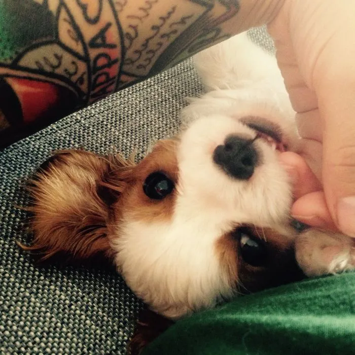 Baby Idun, 14 Months Ago