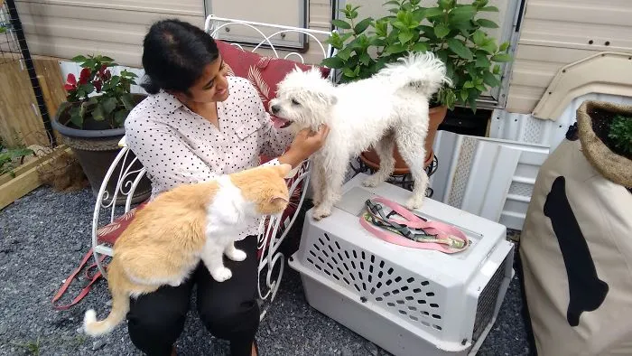 First Time Meeting Him At The Rescue Shelter, He Knew I Was His And Didn't Like A Cat Competing For The Attention.