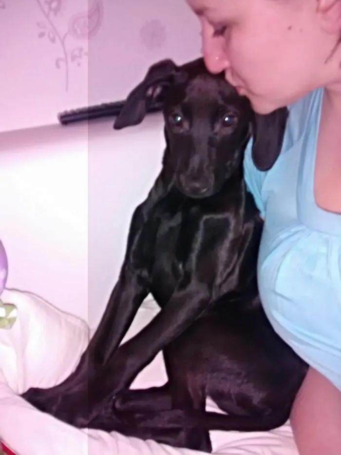 I Was Crying Out Of Joy When Nala Finally Arrived From Hungary.that Was In 2015 And So Far She's Enjoying Her Furever Home ^^