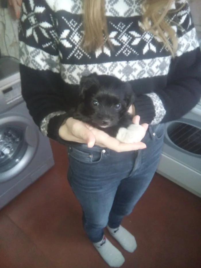 My 1-Month Old Baby Boy, First Day At Home. Now He Is A Little Bigger