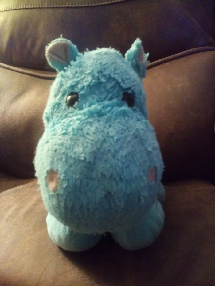 The Rare Natural Habitat Of The Blue Hippo... The Couch.