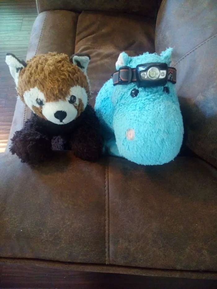 Hippo And Peyton Go Exploring.