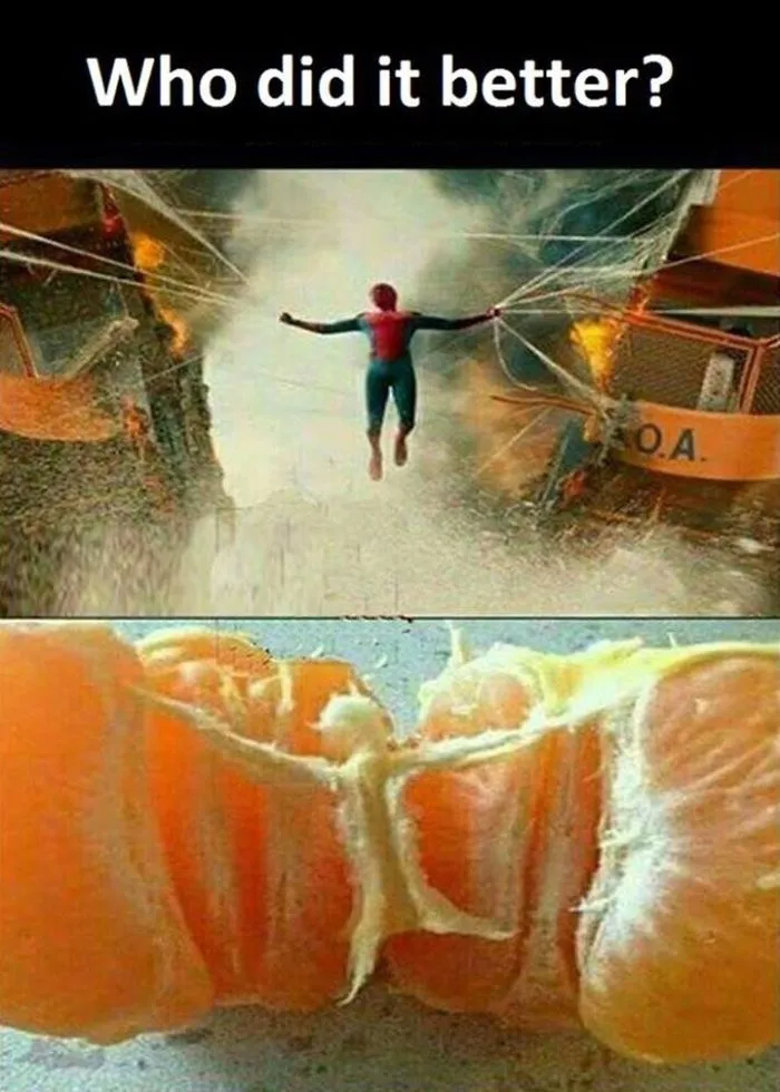 Top 10
funniest Who Wore It Better Pictures