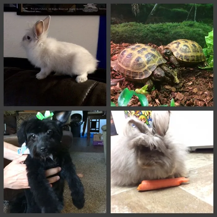 The Rest Of The Family (with Pile Of Buns)