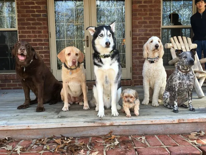 Where'd They Go?