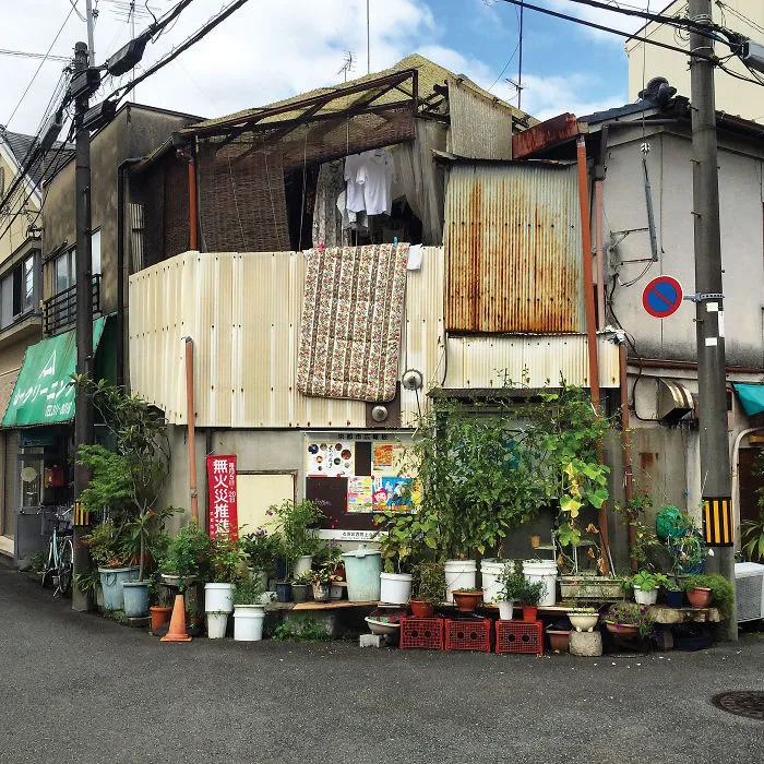 Corner Garden