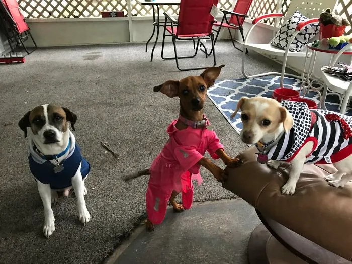 Silly Babies Staying Safe And Warm Before Hurricane Irma ❤️