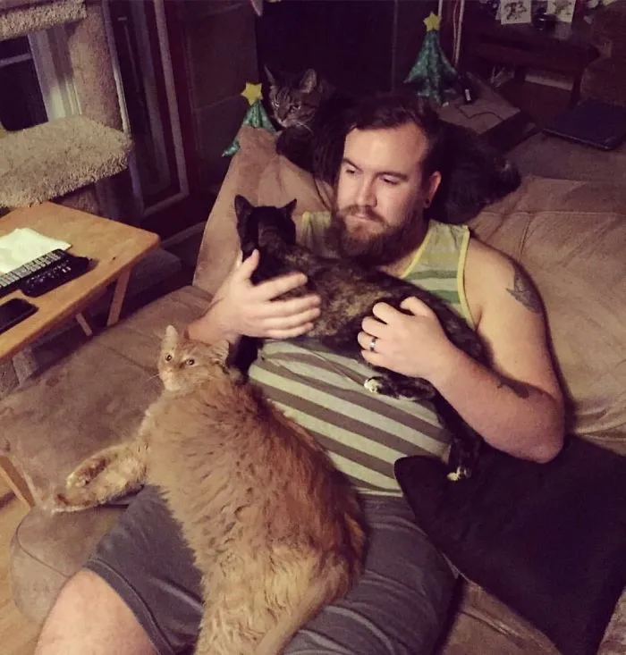 We Used To Have Only 2 Cats Then He Adopted The 3rd. Top To Bottom: Bubba, Nina, And Roddy.