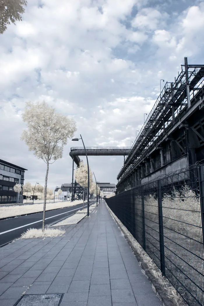 Phönix West, Dortmund