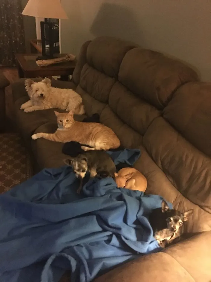 Never Get Up From The Couch Or You Will Lose Your Seat!