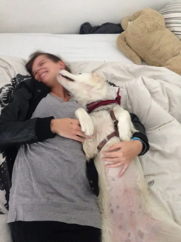 Gretel - Adopted From A Spanish "Perrera" (Killing Station)