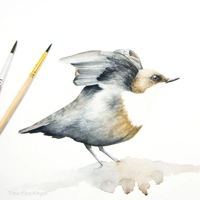 My First Watercolor Paintings