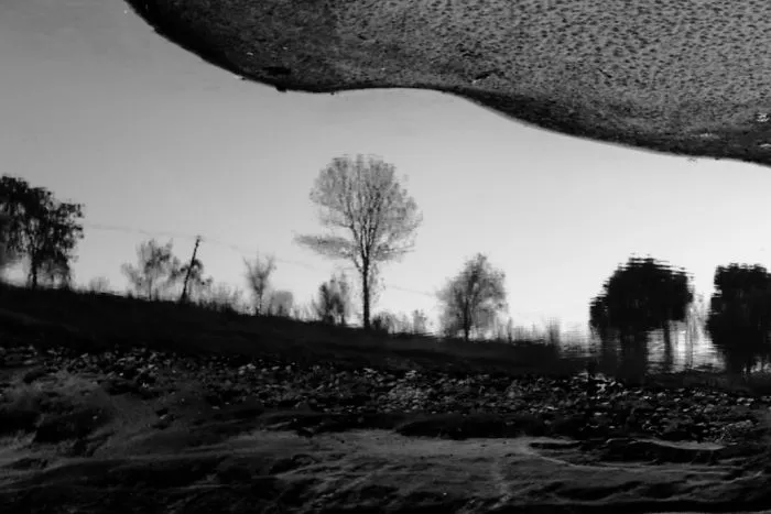 Reflection