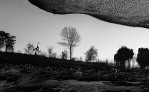 Reflection
