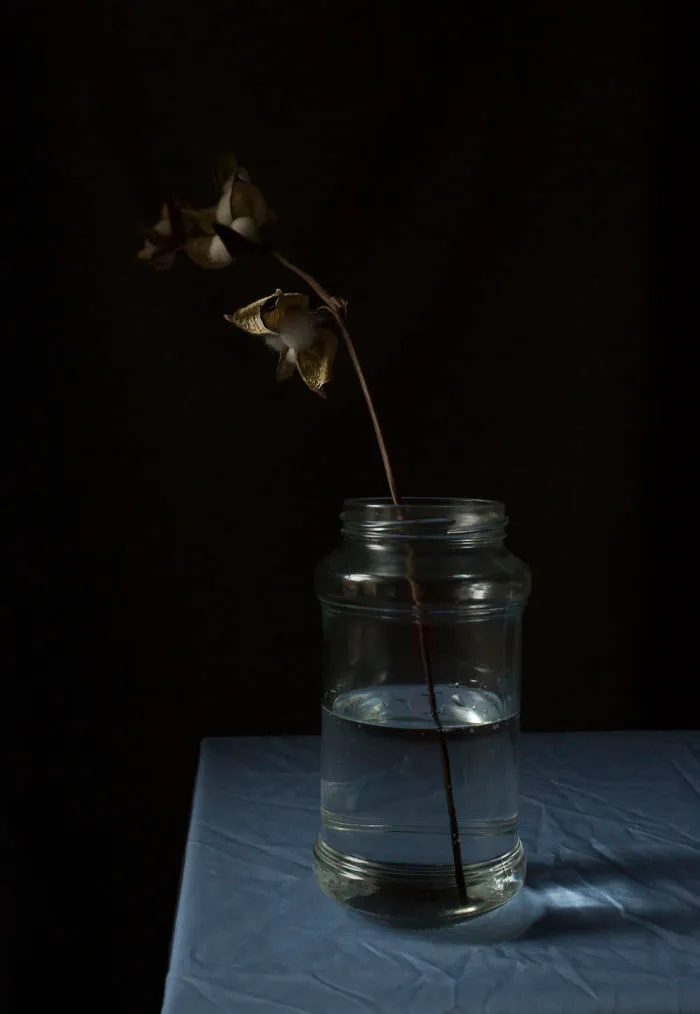 I Search For Beauty In My Own Home