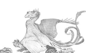 I'm Making A Sketchbook Filled With Strange Creatures