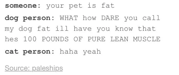 10+ Posts Only Cat People Will Understand