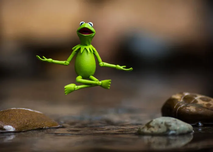 The Tao Of Kermit