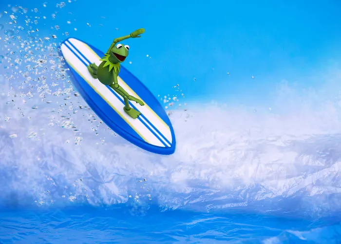 Surfing Safari!